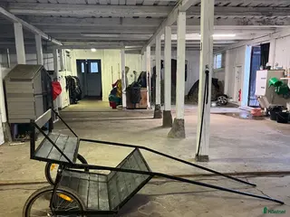 Körvagnar körning till salu: Rockard A-B ponny - Annons 22