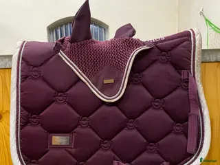 Schabrak & Vojlockar hästutrustning ES schabrak och huva - Annons 2