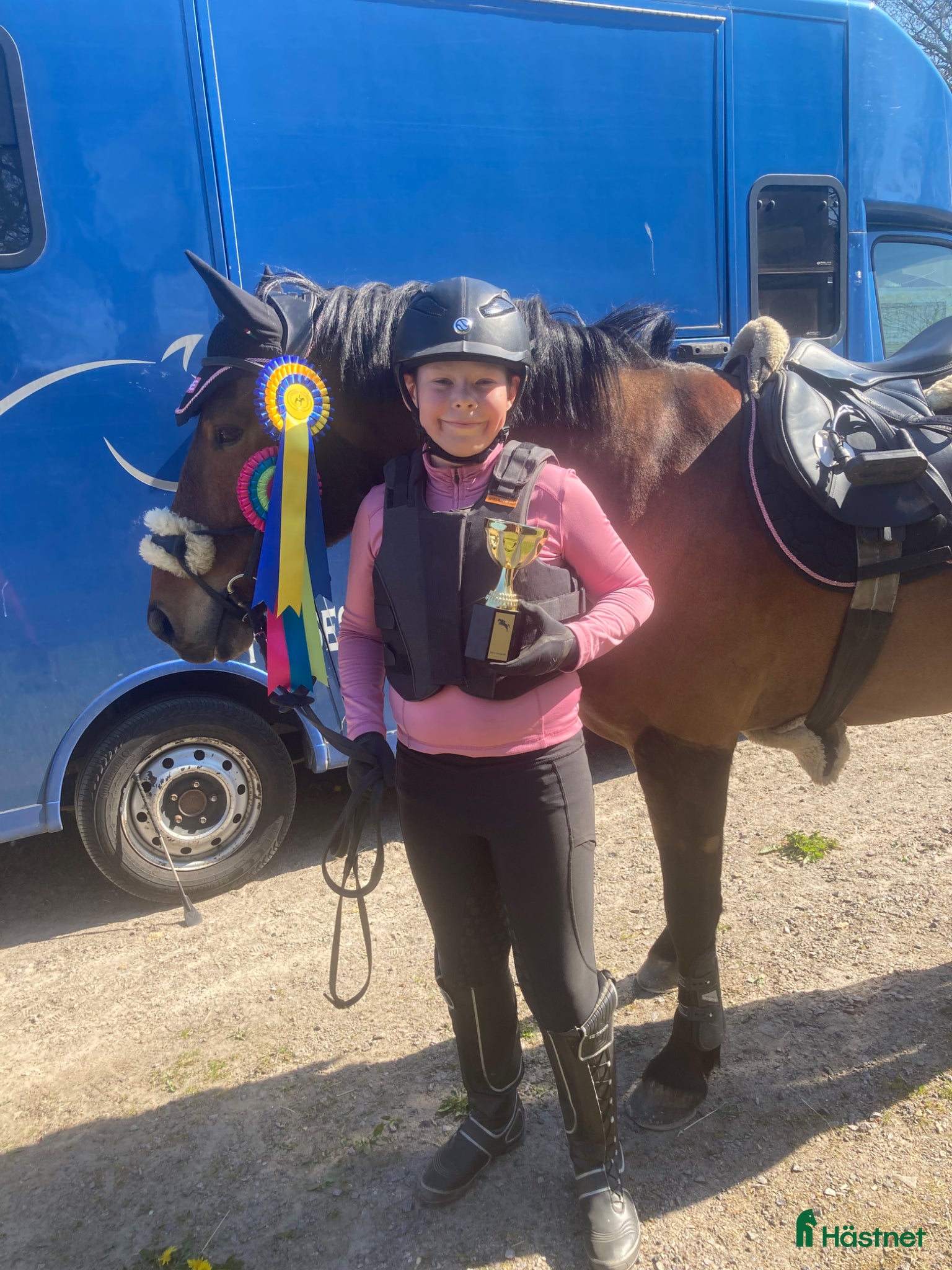  hästar Allroundponny - blir va du gör honom till - Annons 14