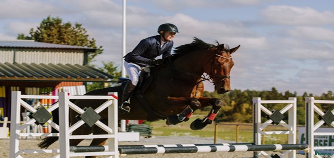 Galleribild {{count}}