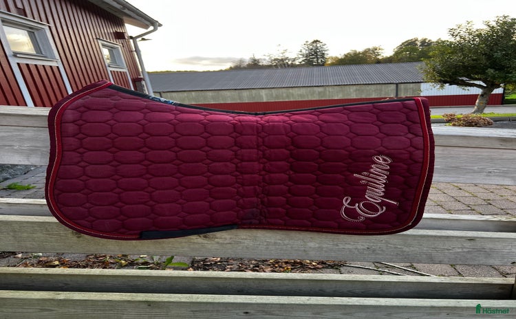 Schabrak & Vojlockar hästutrustning till salu: Fina Equiline dressyrschabrak och huvor  i Kungsbacka - Annons 12