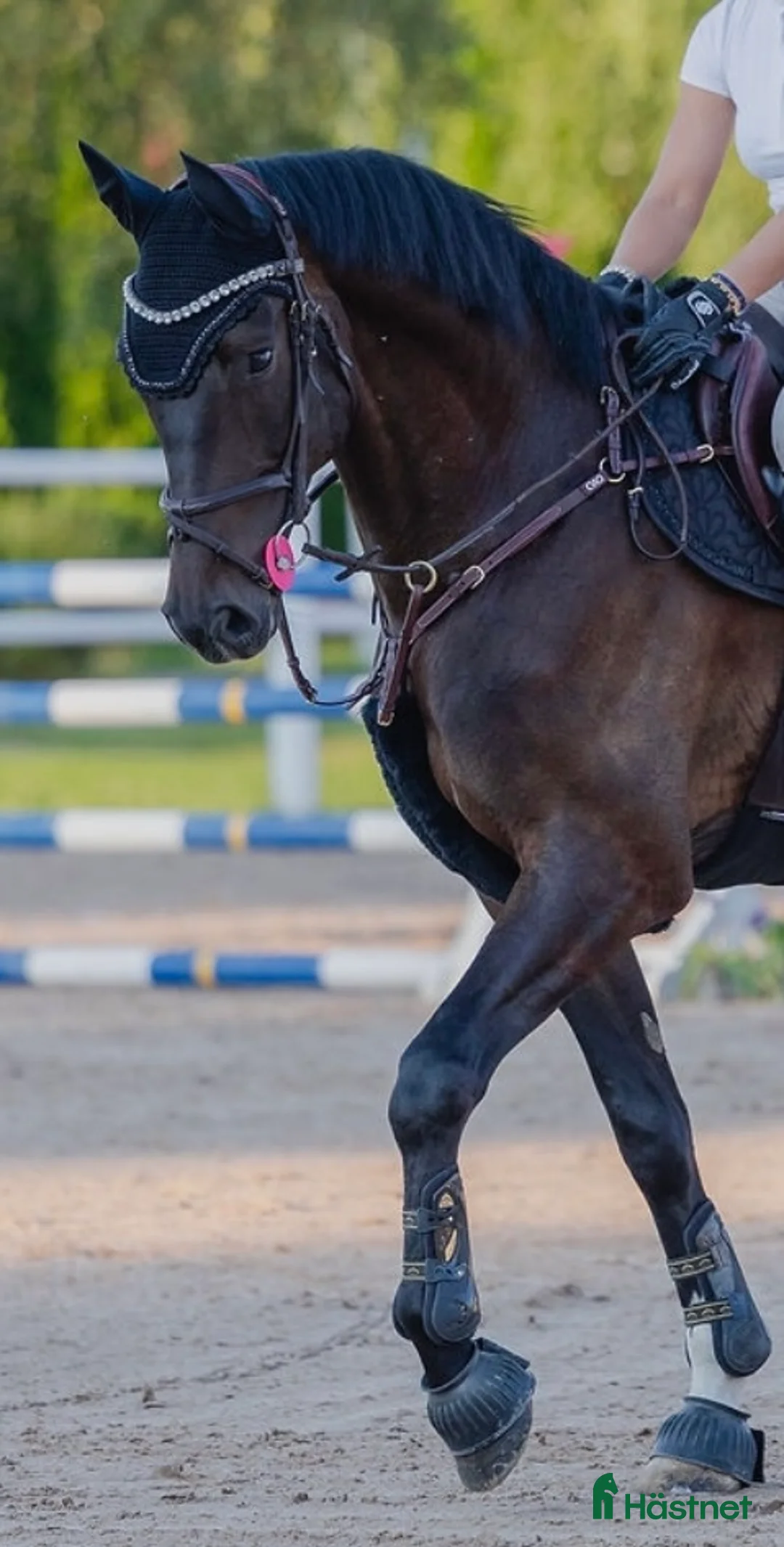  hästjobb finnes: Timmar i stall - Annons 3