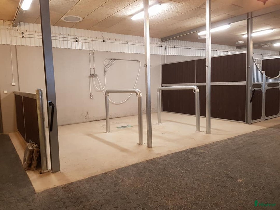  stallplats finnes: Stall om 6-10 boxar uthyres i Kristianstad - Annons 2