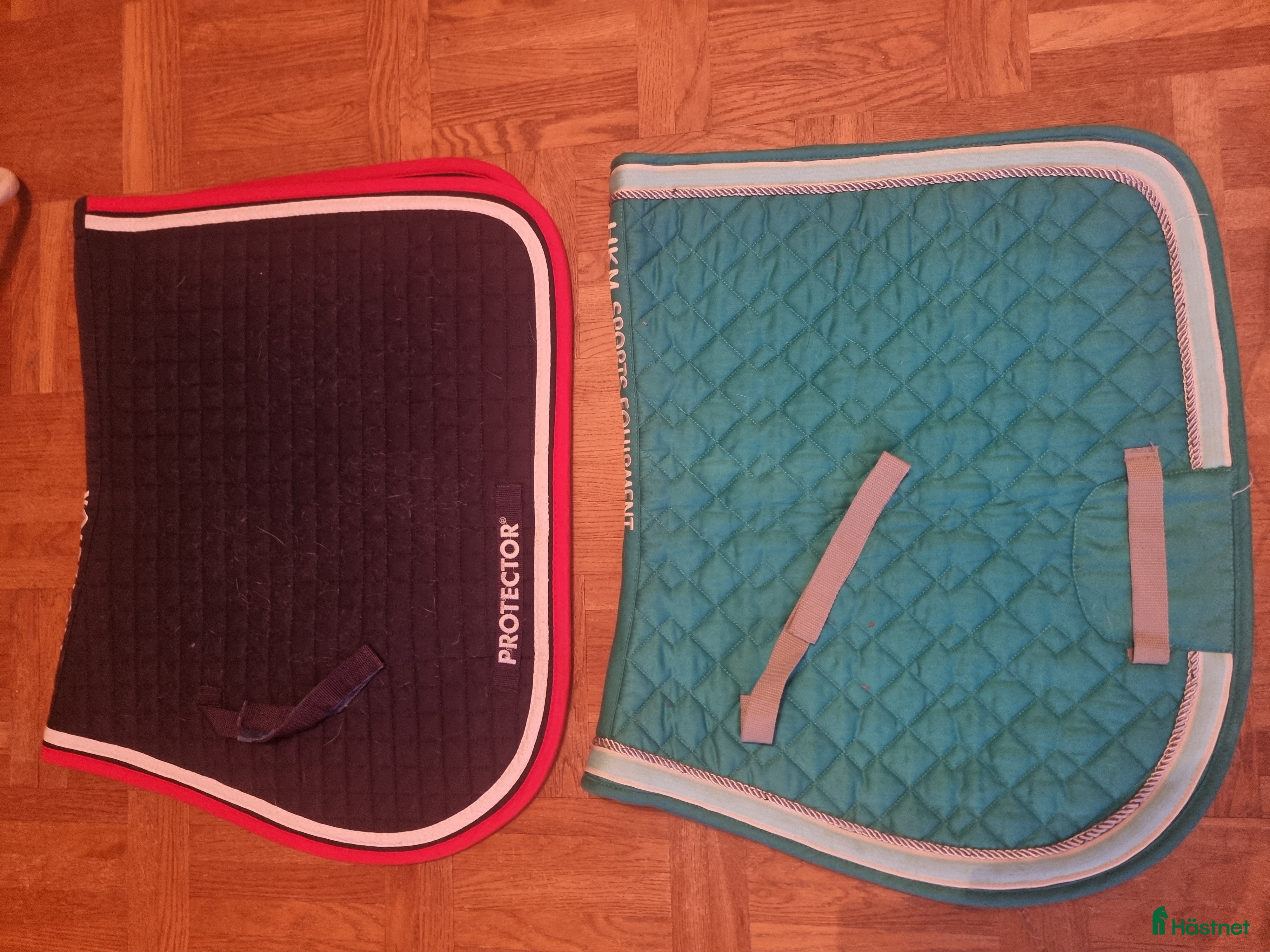 Schabrak & Vojlockar hästutrustning Schabrak full  i Nybro - Annons 13