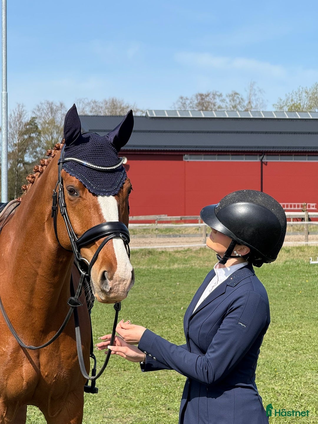 Dressyr hästar till salu: Härlig häst med mycket arbetsvilja i Sigtuna - Annons 1