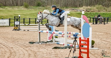  hästar i Onsala - Annons 7