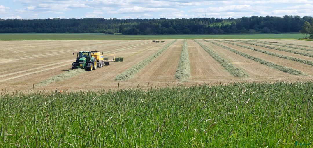 Galleribild {{count}}