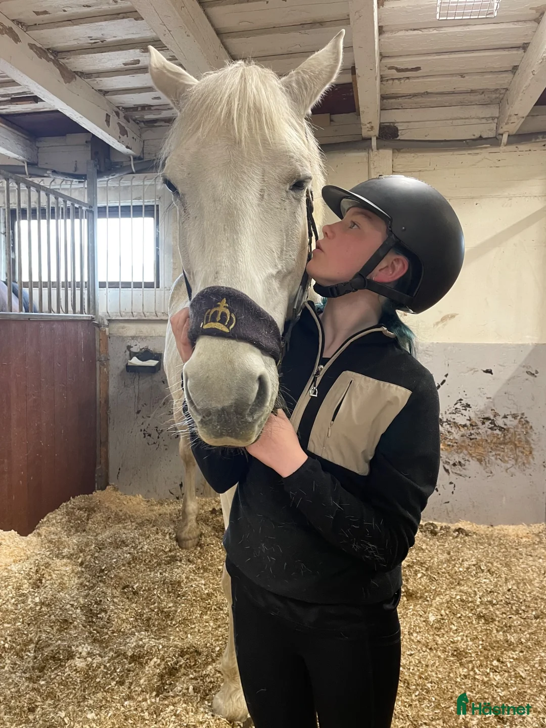  medryttarhäst sökes: Medryttarhäst Sökes 🐎💖 - Annons 3
