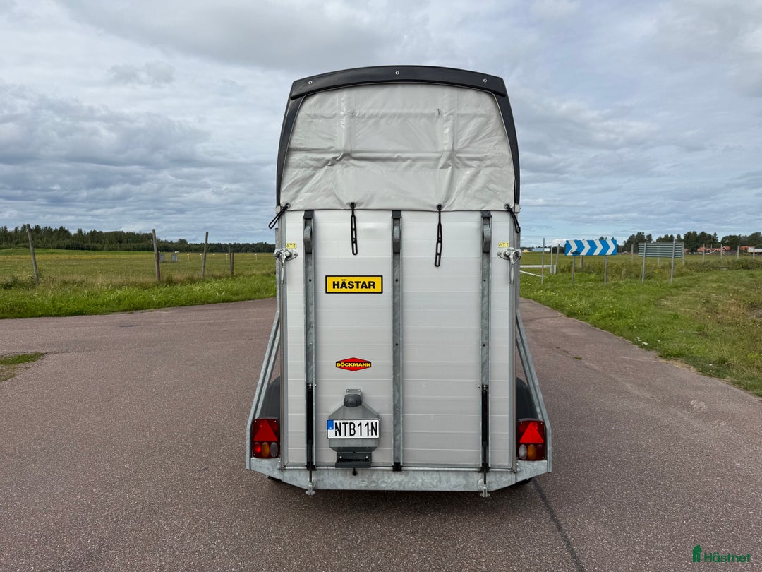 Hästtransporter  fordon & transport till salu: Böckmann Champion UNO -19 i Borlänge - Annons 4