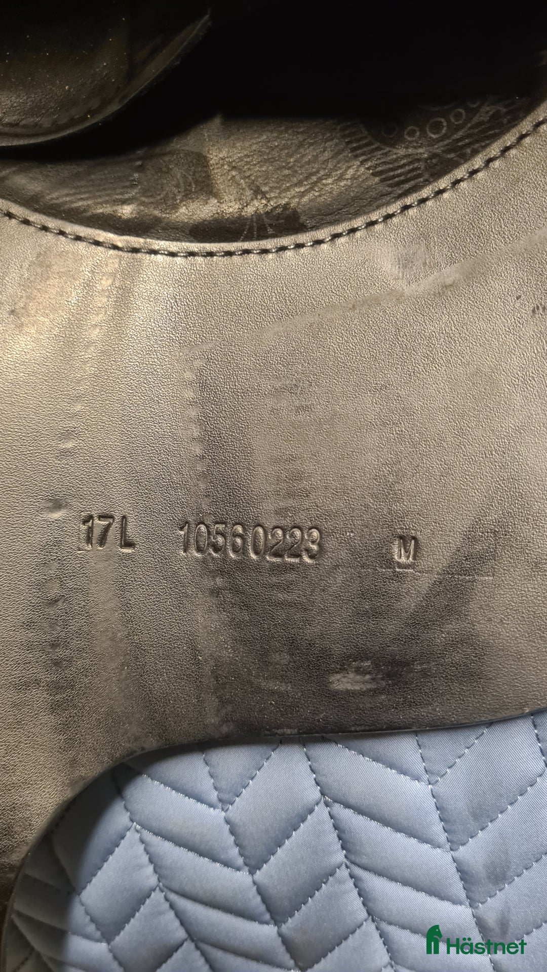 Sadlar hästutrustning till salu: Prestige D2 XFree  i Hamneda - Annons 5