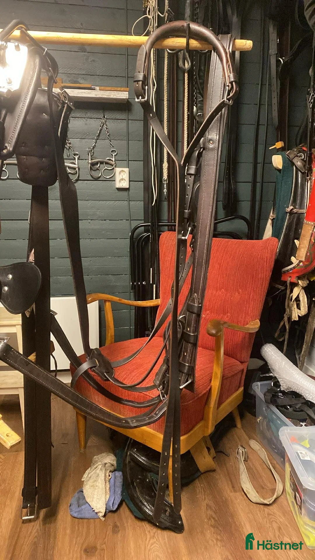 Körselar körning till salu: Tärnsjö sele - Annons 2