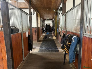 stallplats finnes: Stallplatser Vallentuna /Märsta i Märsta - Annons 1