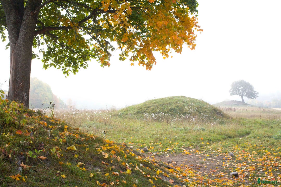  stallplats finnes: Stallplats 2 mil norr om Uppsala i Vattholma - Annons 4