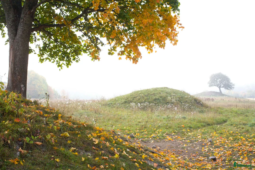  stallplats finnes: Stallplats 2 mil norr om Uppsala - Annons 5