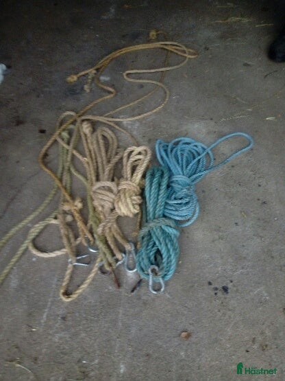 Övrig Körutrustning körning till salu: Grimskaft/rep i Långasjö - Annons 2