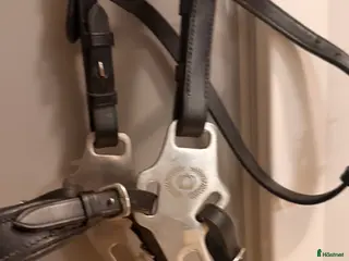 Träns hästutrustning Psof hackamore - Annons 9