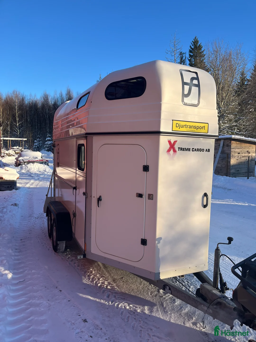 Hästtransporter  fordon & transport till salu: Forzab Futuro SEH20 2019 i Ingelstad - Annons 3