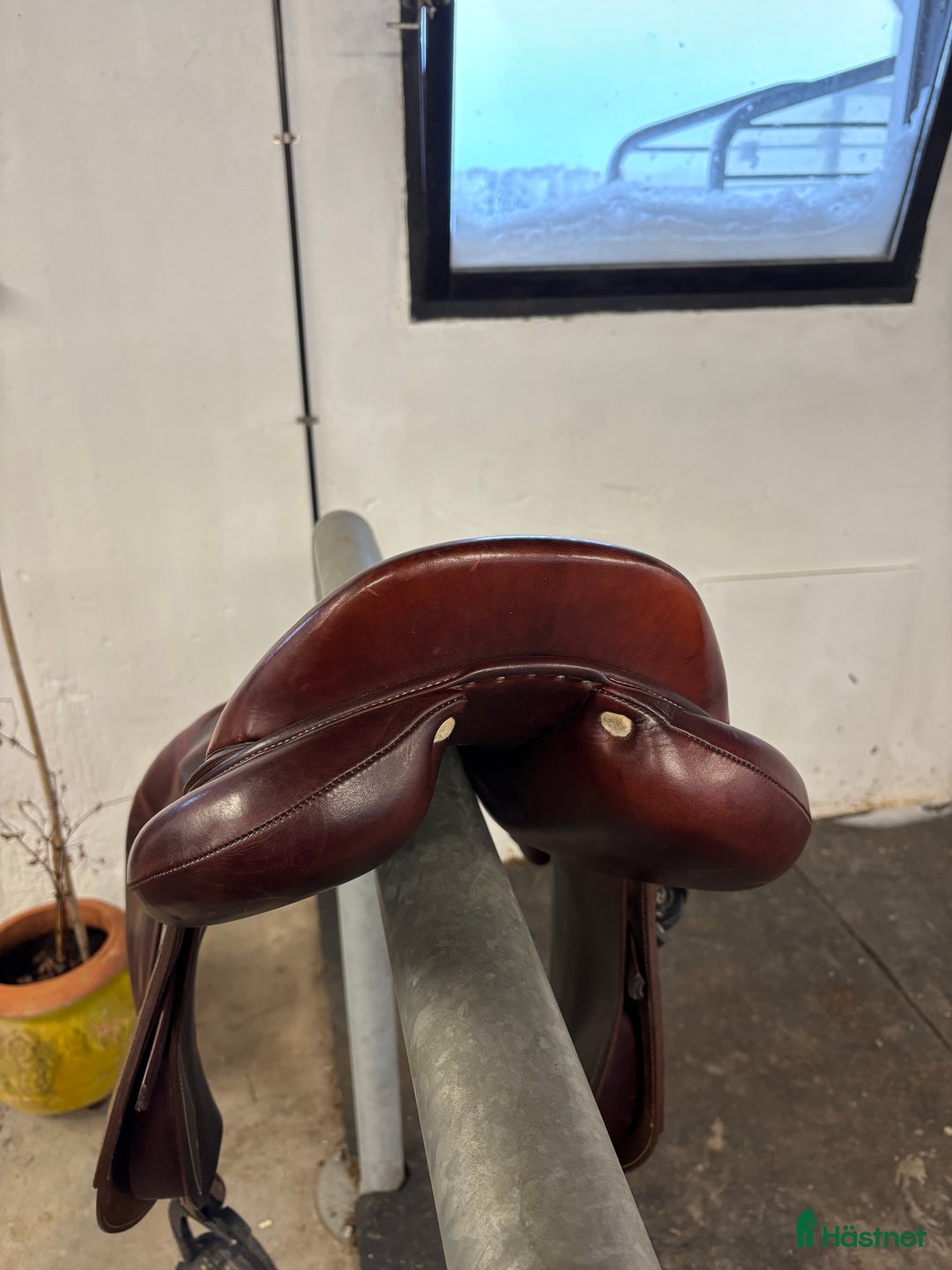 Sadlar hästutrustning till salu: Antares Connexion i Enköping - Annons 7