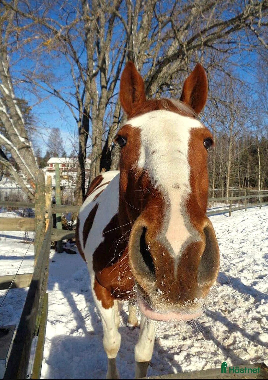 Galleribild {{count}}