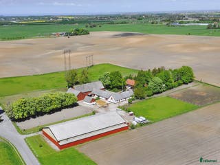 stallplats Ledig boxplats/lösdrift mellan Malmö/Lund i Staffanstorp - Annons 16