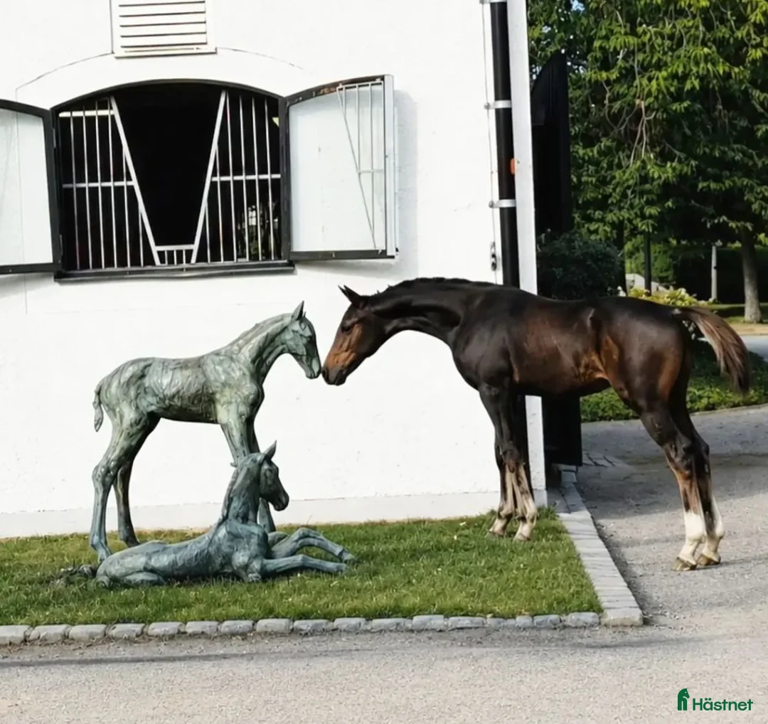 Galleribild {{count}}