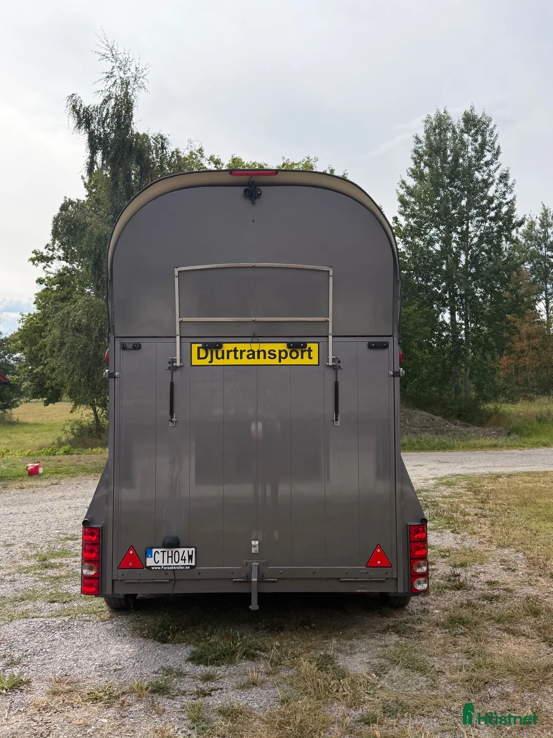 Hästtransporter  fordon & transport till salu: Forzab Classic - 2021 - Annons 8
