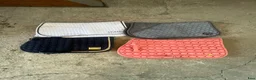 Övrig Hästutrustning hästutrustning till salu: Gott och blandat  i Dalstorp - Annons 2