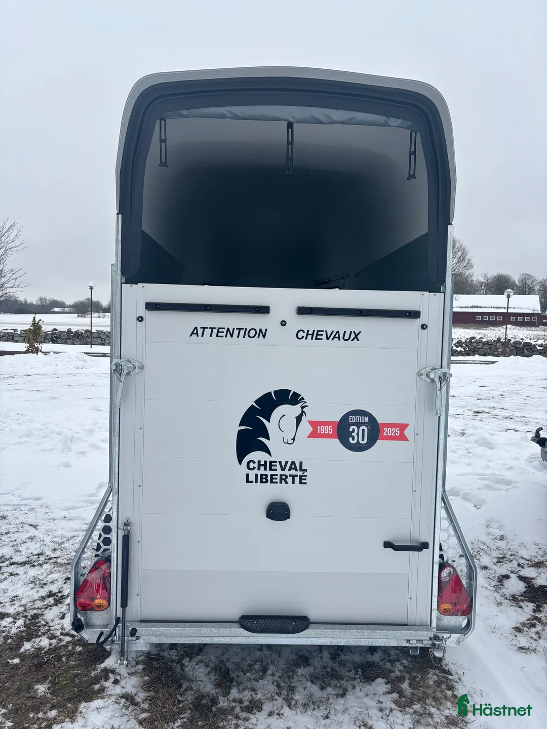 Hästtransporter  fordon & transport till salu: Cheval Gold One - Annons 3