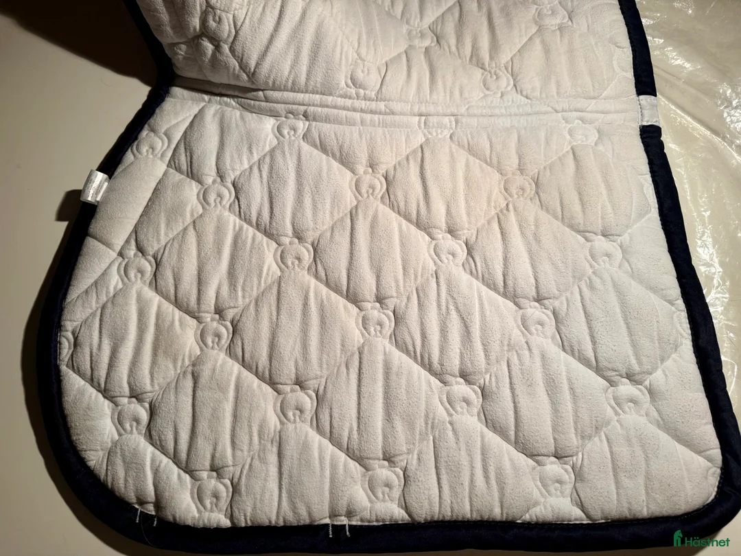 Schabrak & Vojlockar hästutrustning till salu: PS of Sweden schabrak  - Annons 10