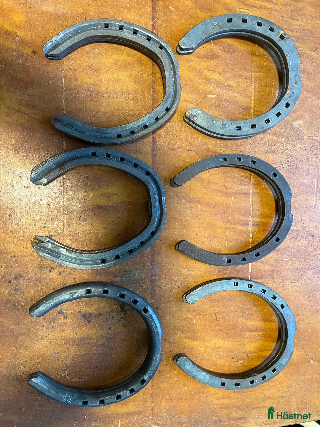 Övrig Travutrustning trav till salu: Travskor stl 4 i Årsunda - Annons 2