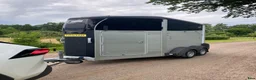 Hästtransporter  fordon & transport till salu: IforWilliams HBX403 - 2020 - Annons 8