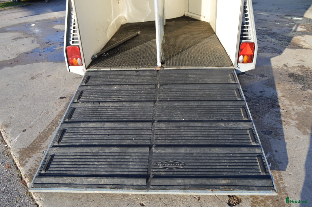 Hästtransporter  fordon & transport till salu: Böckmann Comfort 2017, 1850 kg - Annons 4