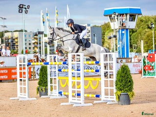 hästservice Ledig box för utbildning och försäljning! i Kungsbacka - Annons 12