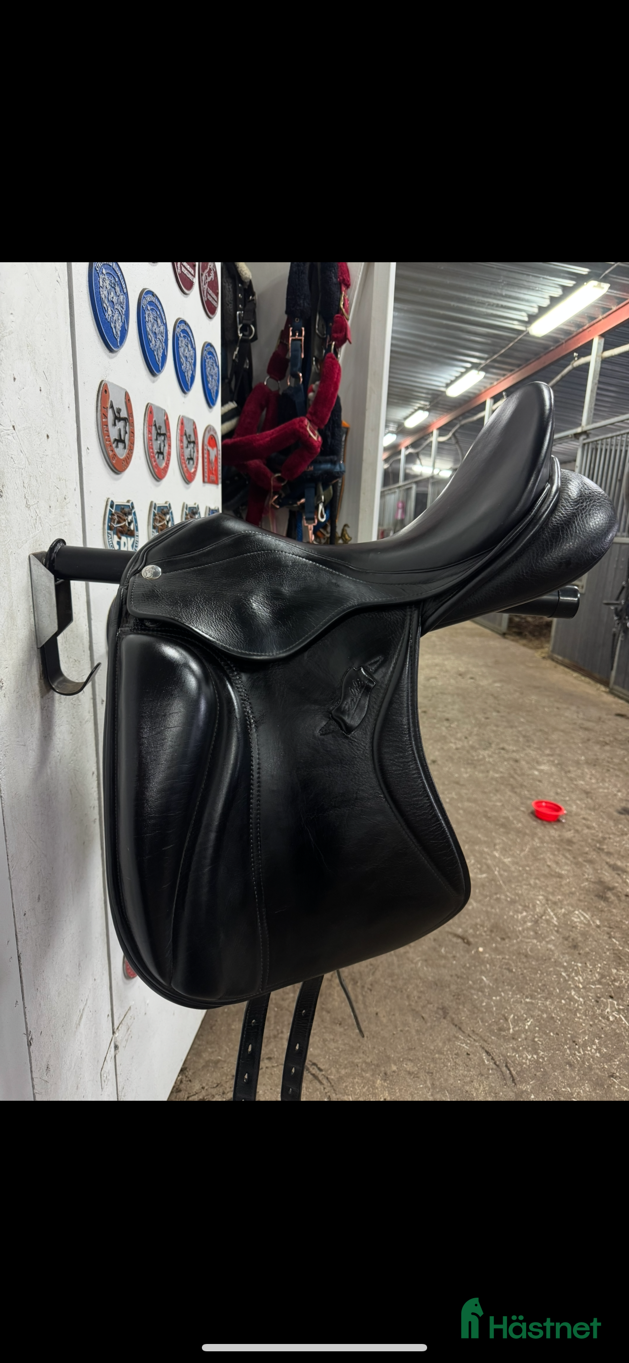 Sadlar hästutrustning Super skön Zaldi sadel - Annons 5