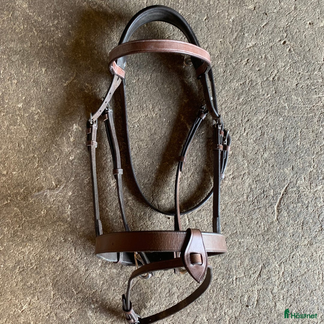 Träns hästutrustning till salu: Fint brunt Lippo träns! i Habo - Annons 1