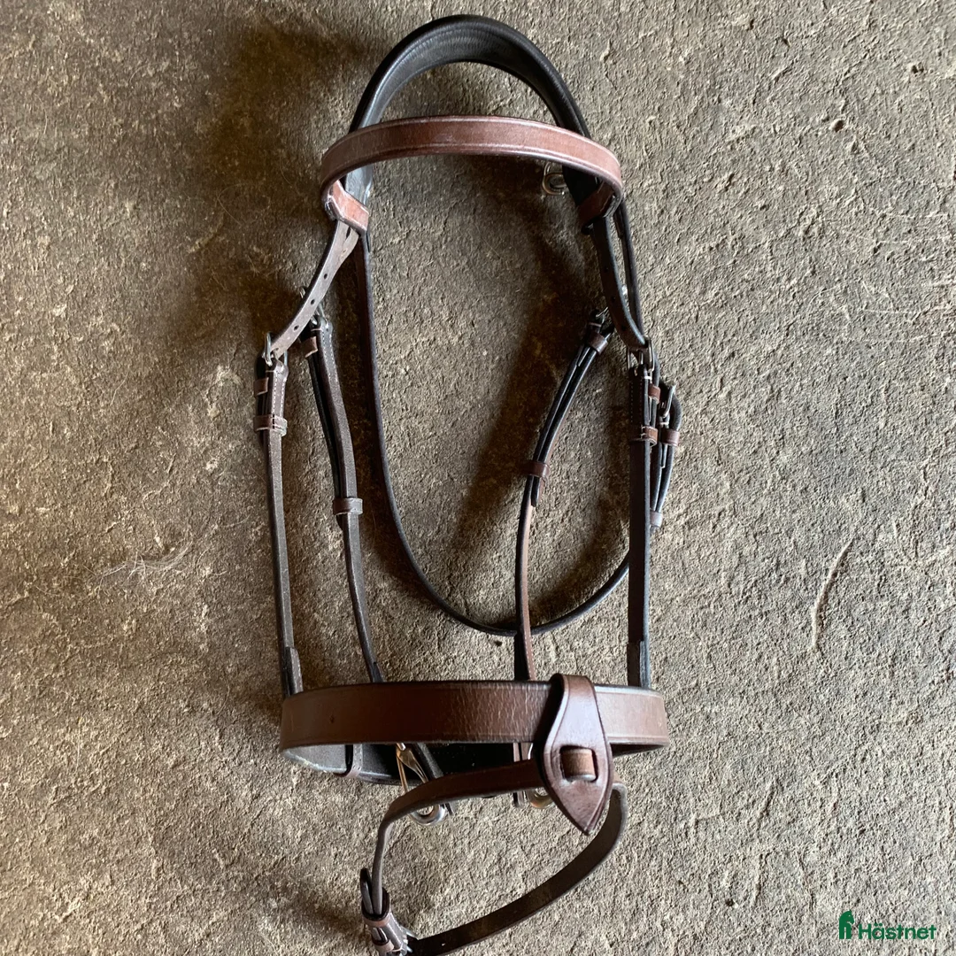 Träns hästutrustning till salu: Fint brunt Lippo träns! i Habo - Annons 1