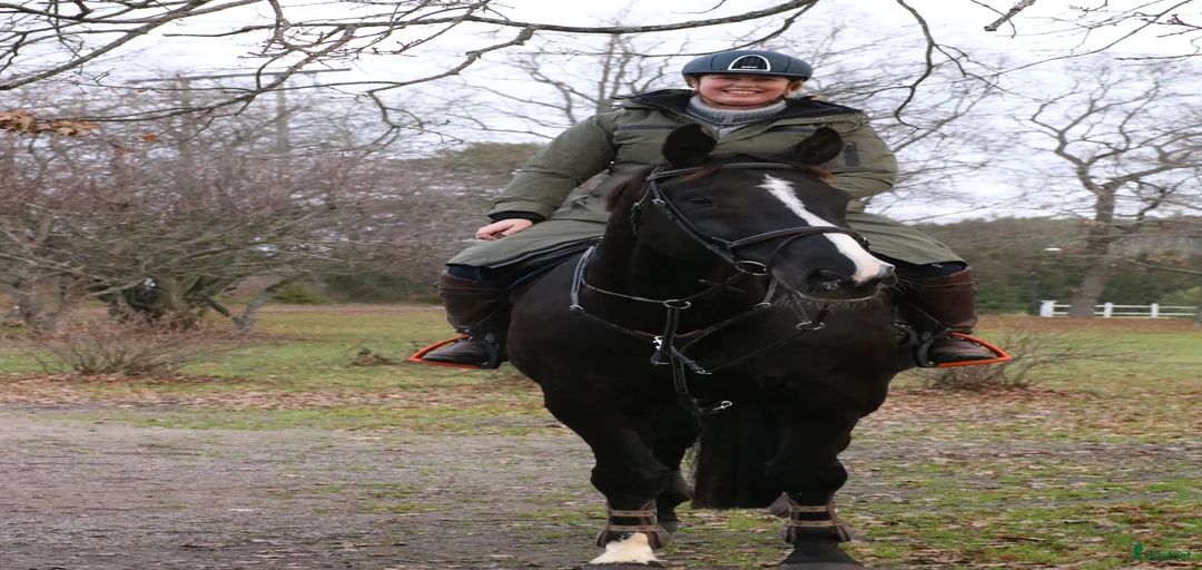 Galleribild {{count}}