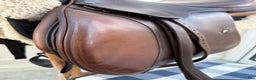 Sadlar hästutrustning till salu: Antares Altair i Drottningholm - Annons 2