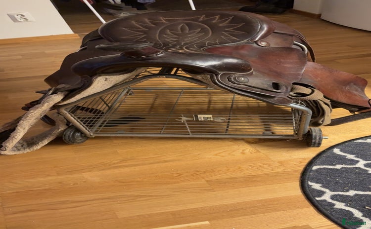 Sadlar hästutrustning till salu i Nyköping - Annons 7