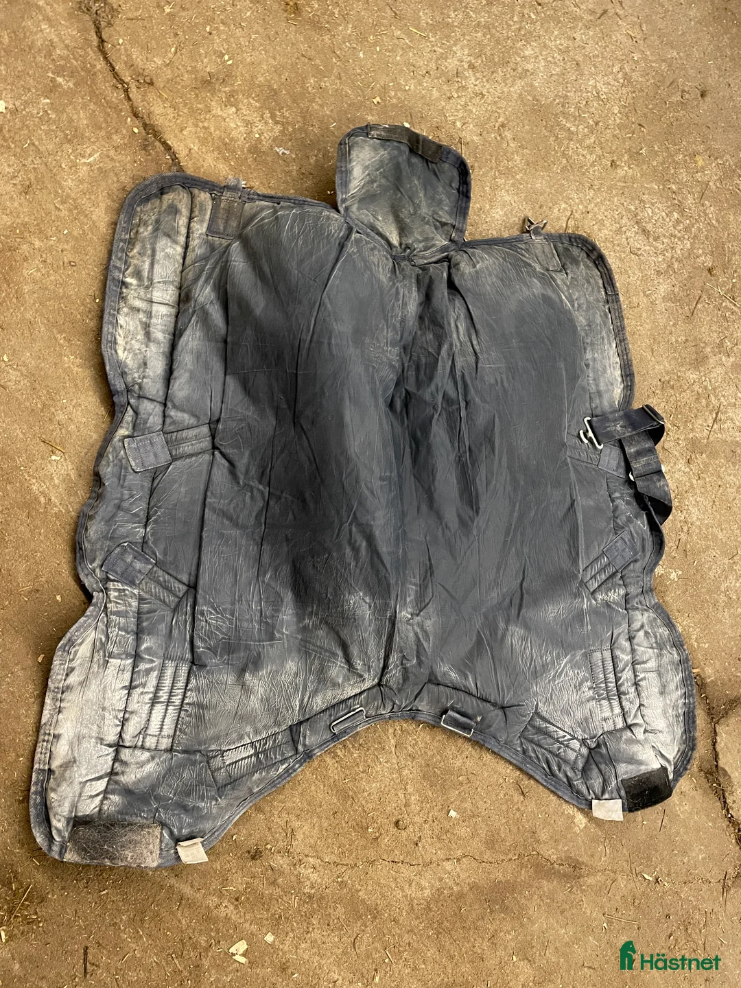 Täcken hästutrustning till salu: Horseware storlek 60 i Sandefjord - Annons 5