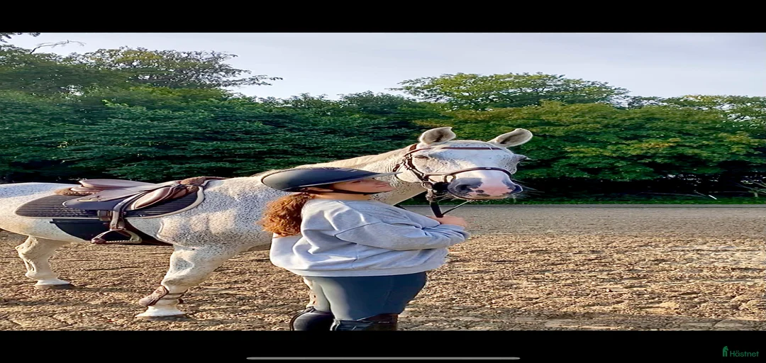 Galleribild {{count}}