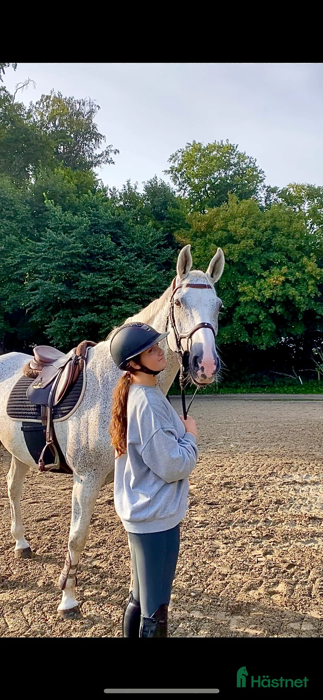 Galleribild {{count}}