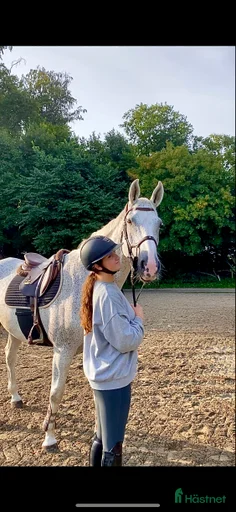 Galleribild {{count}}