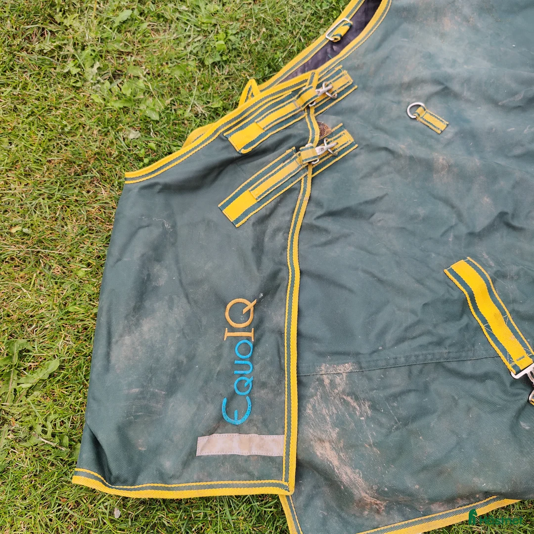 Täcken hästutrustning till salu: Equoiq regntäcke i Uppsala - Annons 2