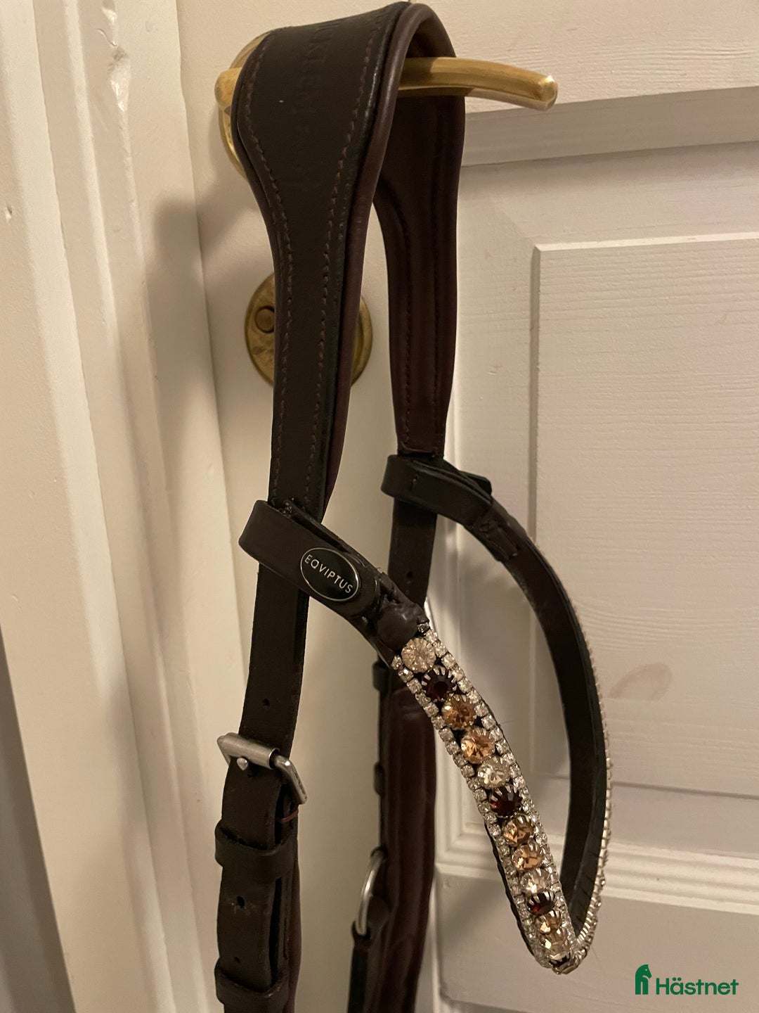 Träns hästutrustning till salu: Brunt Micklem i Falun - Annons 2