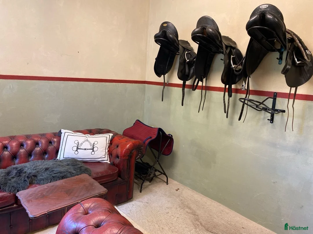  stallplats finnes: Stallplats  i Enköping - Annons 2