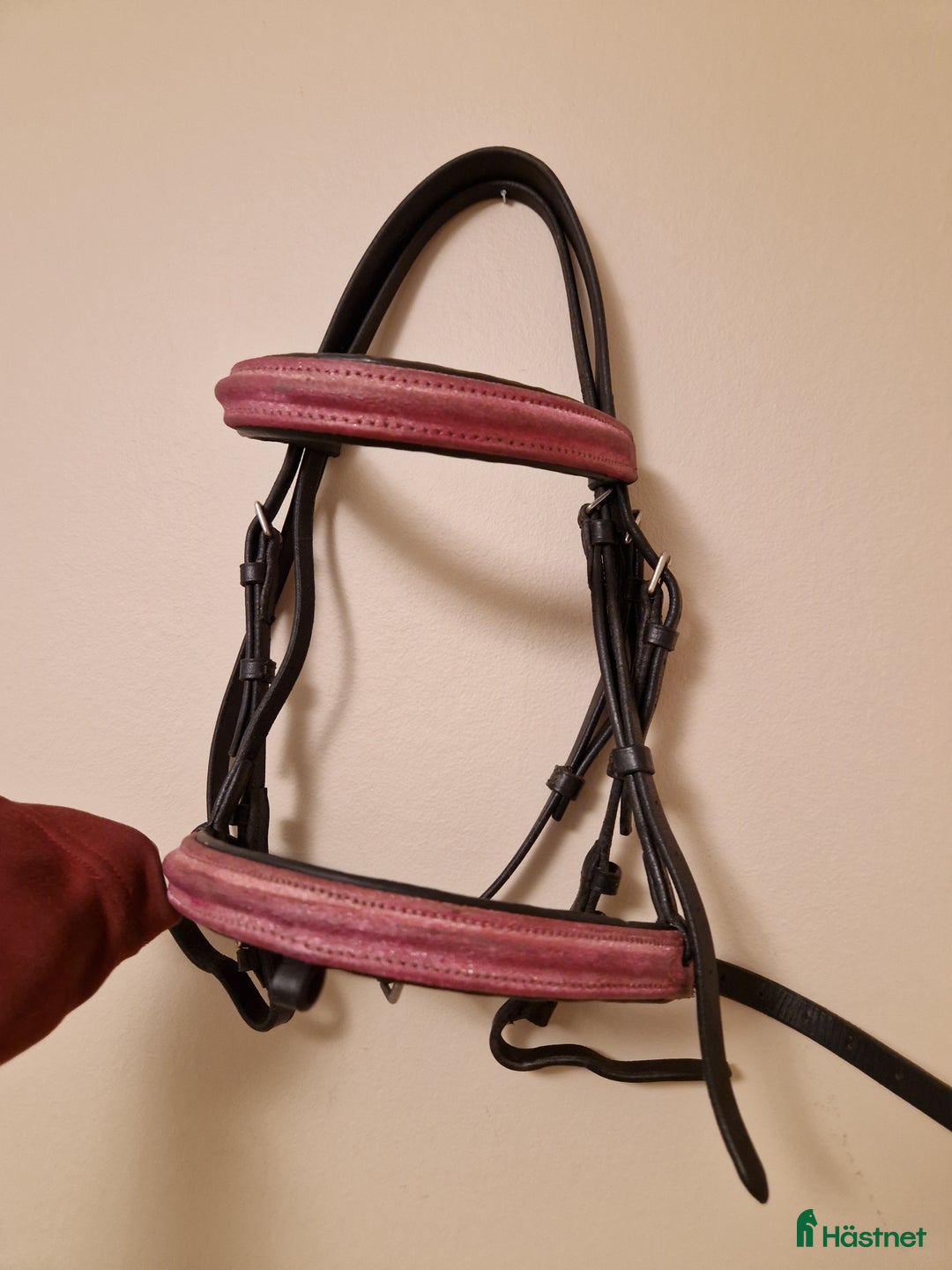 Övrig Hästutrustning hästutrustning till salu: Massa utrustning i Fåker - Annons 2