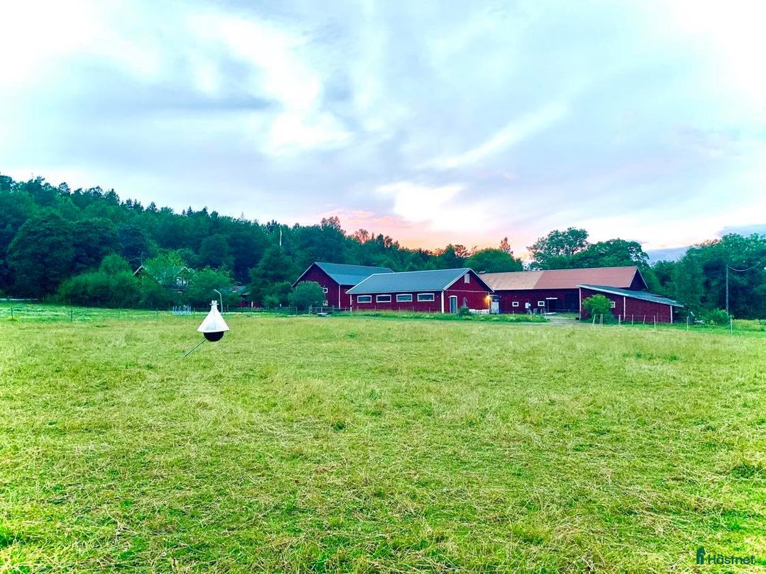  stallplats finnes: STALLPLATS UTHYRES i Norra Sorunda - Annons 2