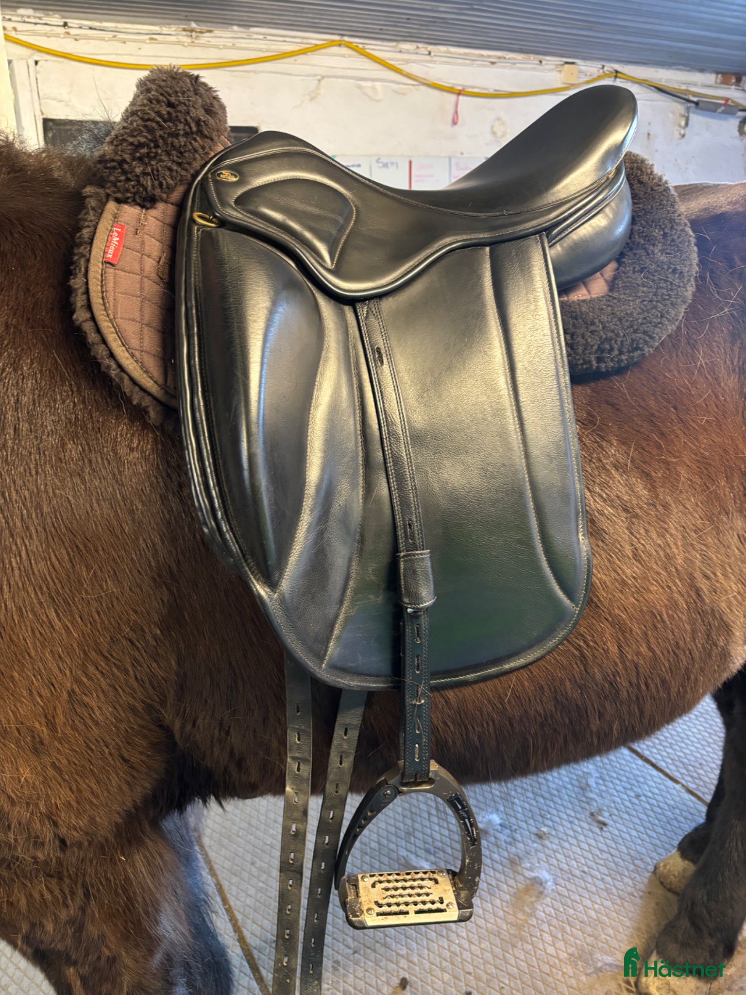 Sadlar hästutrustning Astund Epona  - Annons 3