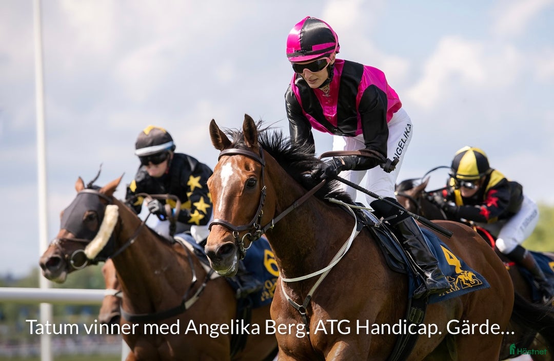 Fälttävlan hästar till salu: Atletiskt fullblodskille med fart och glöd i Enköping - Annons 5